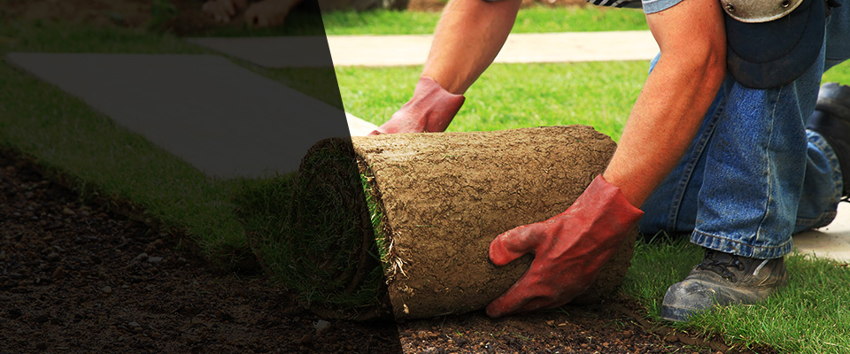 Parkville Landscapers